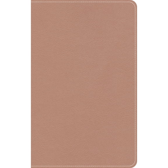 KJV On-The-Go Bible, Personal Size, Rose Gold LeatherTouch (Hardcover)
