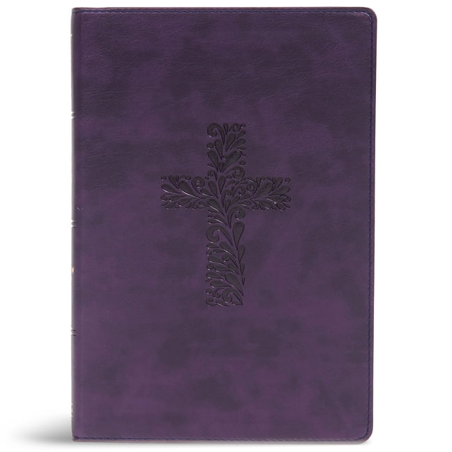 KJV Rainbow Study Bible (Other)