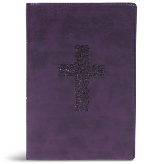 KJV Rainbow Study Bible (Other)