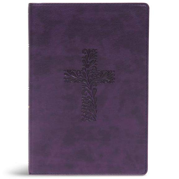 KJV Rainbow Study Bible (Other)