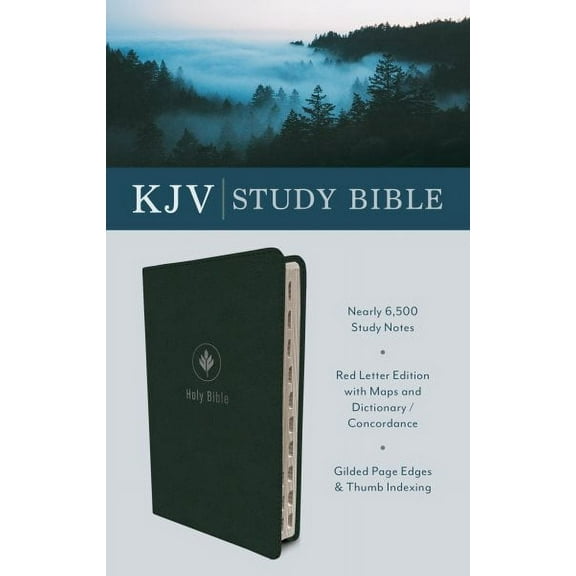KJV Study Bible: Essential Bible Study Helps (Hardcover)