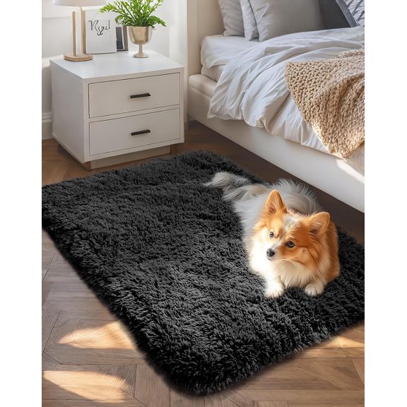 KKFEN-Small Black Entryway Throw Rugs for Bedroom, 2x3 Mini Area Rug, Affordable Non Slip Fluffy Carpet, Fuzzy Soft Living Room Rugs, Home Decor Aesthetic, Nursery