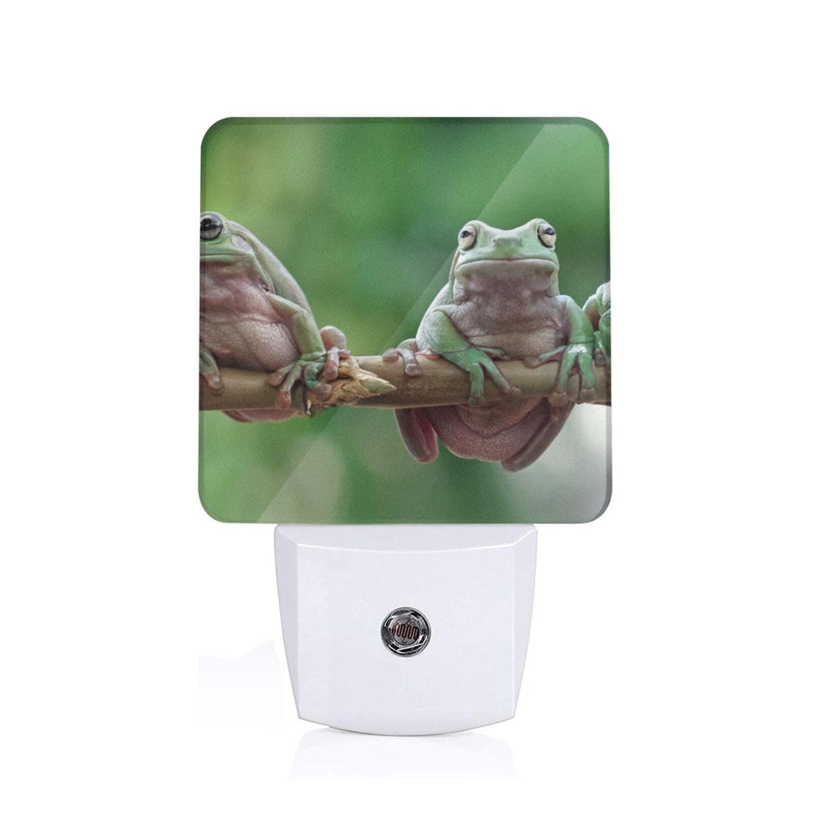 Tree Frog Backlit KLL Australian White Tree Frog Sitting on Branch for Night Lights,Auto ...