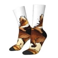 thumbnail image 1 of KLL Autumn Raccoon In Forest Print Cool Socks Men's Women's Crew Socks Funny Crazy Novelty Stockings, 1 of 6