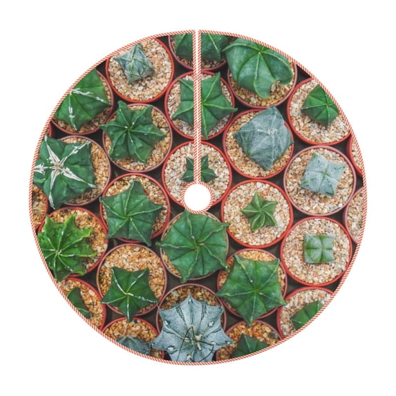 KLL Cactus 4 Christmas Tree Skirt 36" ,Party Decorations Farmhouse for Christmas Decorations Holiday Party