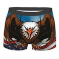 thumbnail image 1 of KLL Cartoon Bald Eagle USA Men's Cotton Boxer Briefs Underwear-XX-Large, 1 of 8