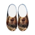 thumbnail image 1 of KLL Close-Up Curious Squirrel Pattern Adult Unisex Cozy Slippers,Fuzzy Slip-on Slippers TPR Sole Slippers Comfort Plush Home Footwear for Indoor & Outdoor-8, 1 of 7