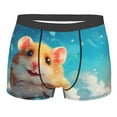 thumbnail image 1 of KLL Cloud Cute Hamster Men's Cotton Boxer Briefs Underwear-XX-Large, 1 of 8