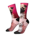 thumbnail image 1 of KLL Colorful Dog Cat Collage Print Cool Socks Men's Women's Crew Socks Funny Crazy Novelty Stockings, 1 of 6