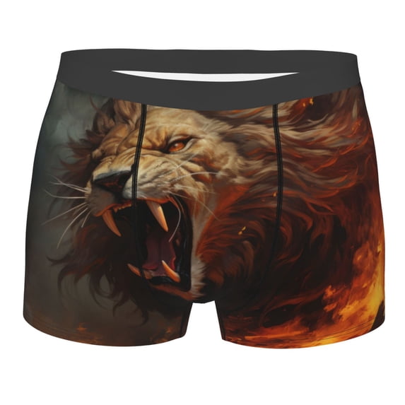 KLL Cool Flame Lion A Men's Cotton Boxer Briefs Underwear-Large