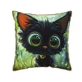 thumbnail image 1 of KLL Cute Big-Eyed Black Cat Decorative Throw Pillow Covers Velvet Soft for Couch Sofa Bedroom Living Room Outdoor (No pillow core)- 18"x18", 1 of 5