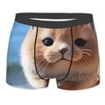 thumbnail image 1 of KLL Cute Guinea Pig Sea Men's Cotton Boxer Briefs Underwear-X-Large, 1 of 8