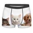 thumbnail image 1 of KLL Cute Kittens And Puppy Men's Cotton Boxer Briefs Underwear-Small, 1 of 7