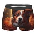 thumbnail image 1 of KLL Cute Maple Leaf Puppy Men's Cotton Boxer Briefs Underwear-XX-Large, 1 of 8