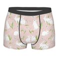 thumbnail image 1 of KLL Cute Rabbit Men's Cotton Boxer Briefs Underwear-X-Large, 1 of 8