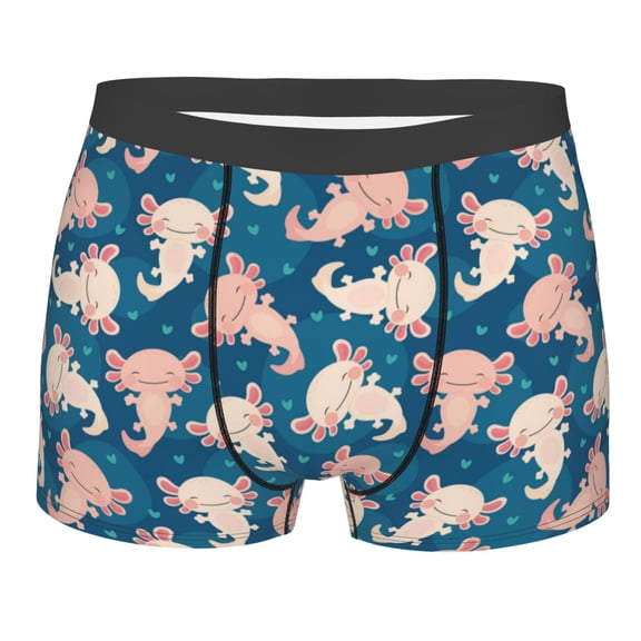 KLL Cute Salamander Men's Cotton Boxer Briefs Underwear-Small