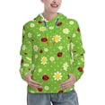 thumbnail image 1 of KLL Daisies And Ladybugs for Womens Pullover Hoodie with Pocket Hooded Long Sleeve Shirts Sweatshirt for Women-X-Large, 1 of 7