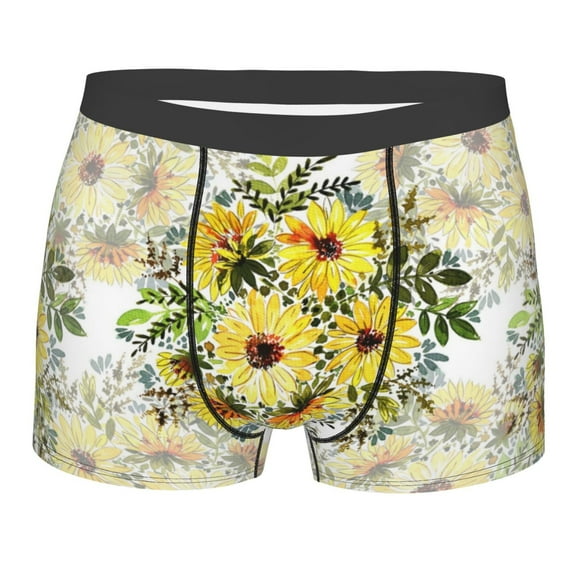 KLL Daisies And Wildflowers Men's Cotton Boxer Briefs Underwear-Large