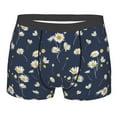 thumbnail image 1 of KLL Daisies Flowers Men's Cotton Boxer Briefs Underwear-X-Large, 1 of 8