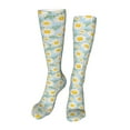 thumbnail image 1 of KLL Daisies Flowers Print Cool Socks Men's Women's Crew Socks Funny Crazy Novelty Stockings, 1 of 8