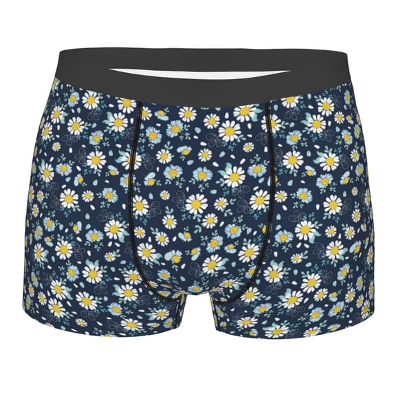 KLL Daisy Floral B Men's Cotton Boxer Briefs Underwear-Small