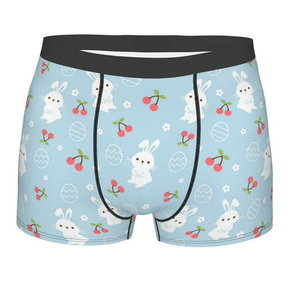 KLL Easter Rabbit Men's Cotton Boxer Briefs Underwear-XX-Large