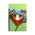 thumbnail image 1 of KLL Flying Frog On Branch Pattern Electrical Outlet Covers, 3" x 5" 1 Pack Electric Receptacle Plug Covers for Decorator Receptacle Outlet & Switch-Style T, 1 of 6
