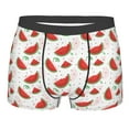 thumbnail image 1 of KLL Hand Drawn Watermelon Men's Cotton Boxer Briefs Underwear-X-Large, 1 of 8