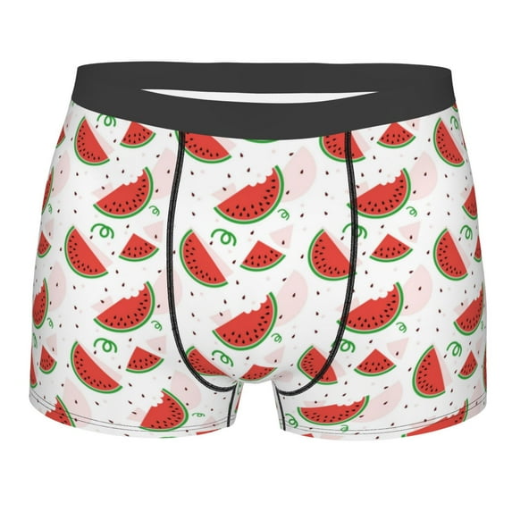 KLL Hand Drawn Watermelon Men's Cotton Boxer Briefs Underwear-X-Large