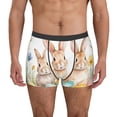 thumbnail image 1 of KLL Happy Easter Men's Cotton Boxer Briefs Underwear-XX-Large, 1 of 5