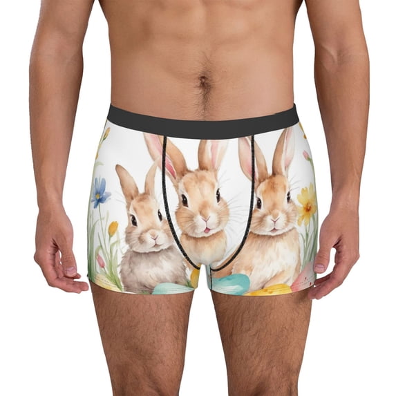 KLL Happy Easter Men's Cotton Boxer Briefs Underwear-XX-Large
