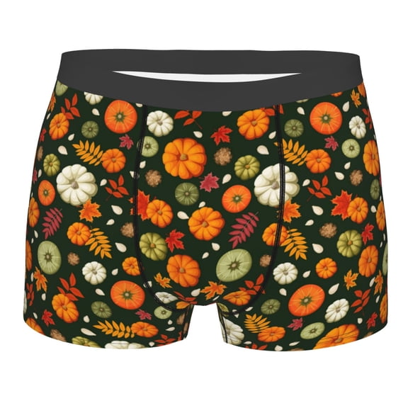 KLL Harvest Pumpkins Men's Cotton Boxer Briefs Underwear-X-Large