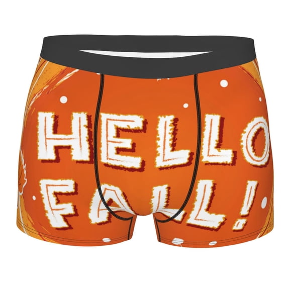 KLL Hello Fall 1 Men's Cotton Boxer Briefs Underwear-Medium