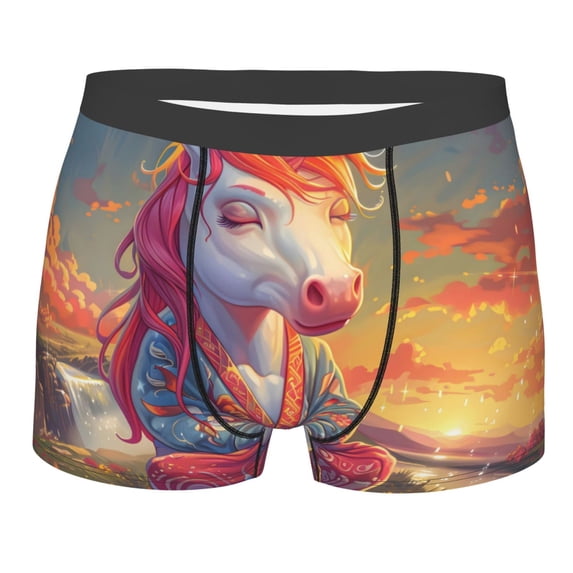 KLL Meditating Cute Horse Men's Cotton Boxer Briefs Underwear-XX-Large