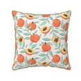 thumbnail image 1 of KLL Peach Decorative Throw Pillow Covers Velvet Soft for Couch Sofa Bedroom Living Room Outdoor (No pillow core)- 20"x20", 1 of 5