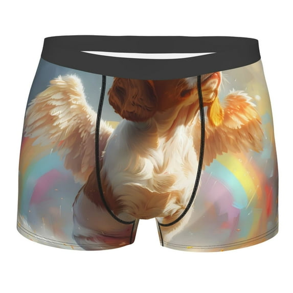 KLL Rainbow English Cocker Spaniel Men's Cotton Boxer Briefs Underwear-X-Large