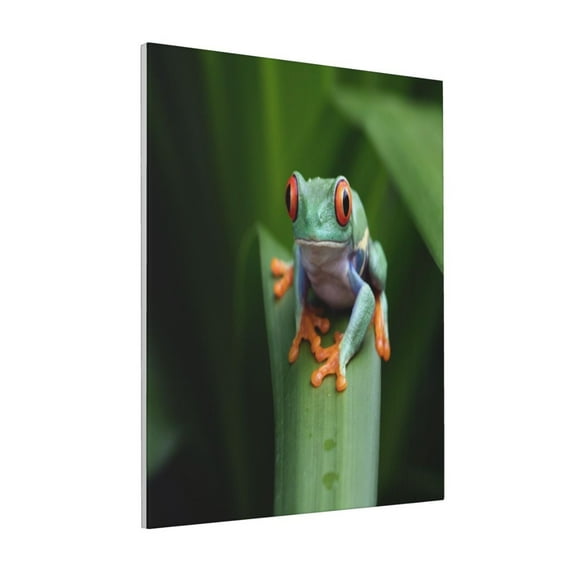 KLL Red-Eyed Tree Frog Print Canvas Wall Art, Canvas Painting Prints Canvas Art Wall Decor Home Decoration for Living Room Bedroom Office