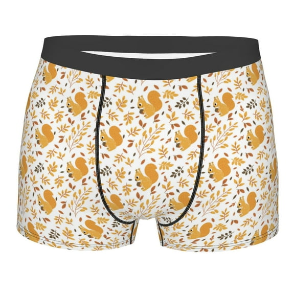 KLL Squirrel And Leaves Men's Cotton Boxer Briefs Underwear-Small