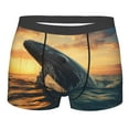 thumbnail image 1 of KLL Sunset Ocean Whale Men's Cotton Boxer Briefs Underwear-Medium, 1 of 8