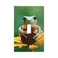 thumbnail image 1 of KLL Tree Frog Sitting On Sunflowes Pattern Electrical Outlet Covers, 3" x 5" 1 Pack Electric Receptacle Plug Covers for Decorator Receptacle Outlet & Switch-Style T, 1 of 6