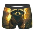 thumbnail image 1 of KLL Tree Meditating Raccoon Men's Cotton Boxer Briefs Underwear-X-Large, 1 of 8