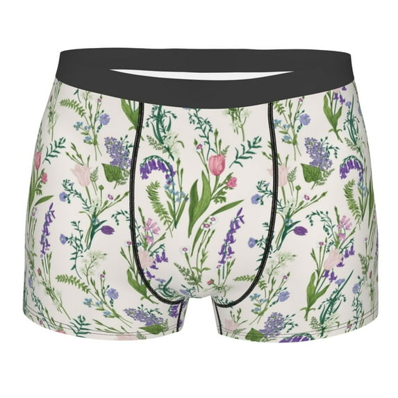 KLL Wisteria Flower Men's Cotton Boxer Briefs Underwear-Small