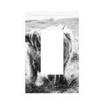 thumbnail image 1 of KLL Yak Wall Plate,Gloss Finish,Standard Size 1 - 5" x 3", Polycarbonate Thermoplastic,Electric Receptacle Plug Covers, 1 of 6