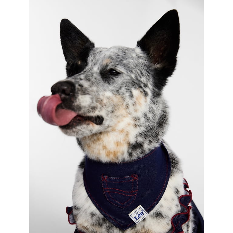 Kacey Lee Denim Pocket Pet Bandana for Cats and Dogs, Blue, Medium