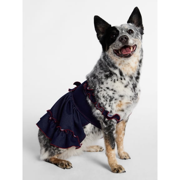 Kacey Lee Denim Strappy Pet Dress for Cats and Dogs, Blue, Medium