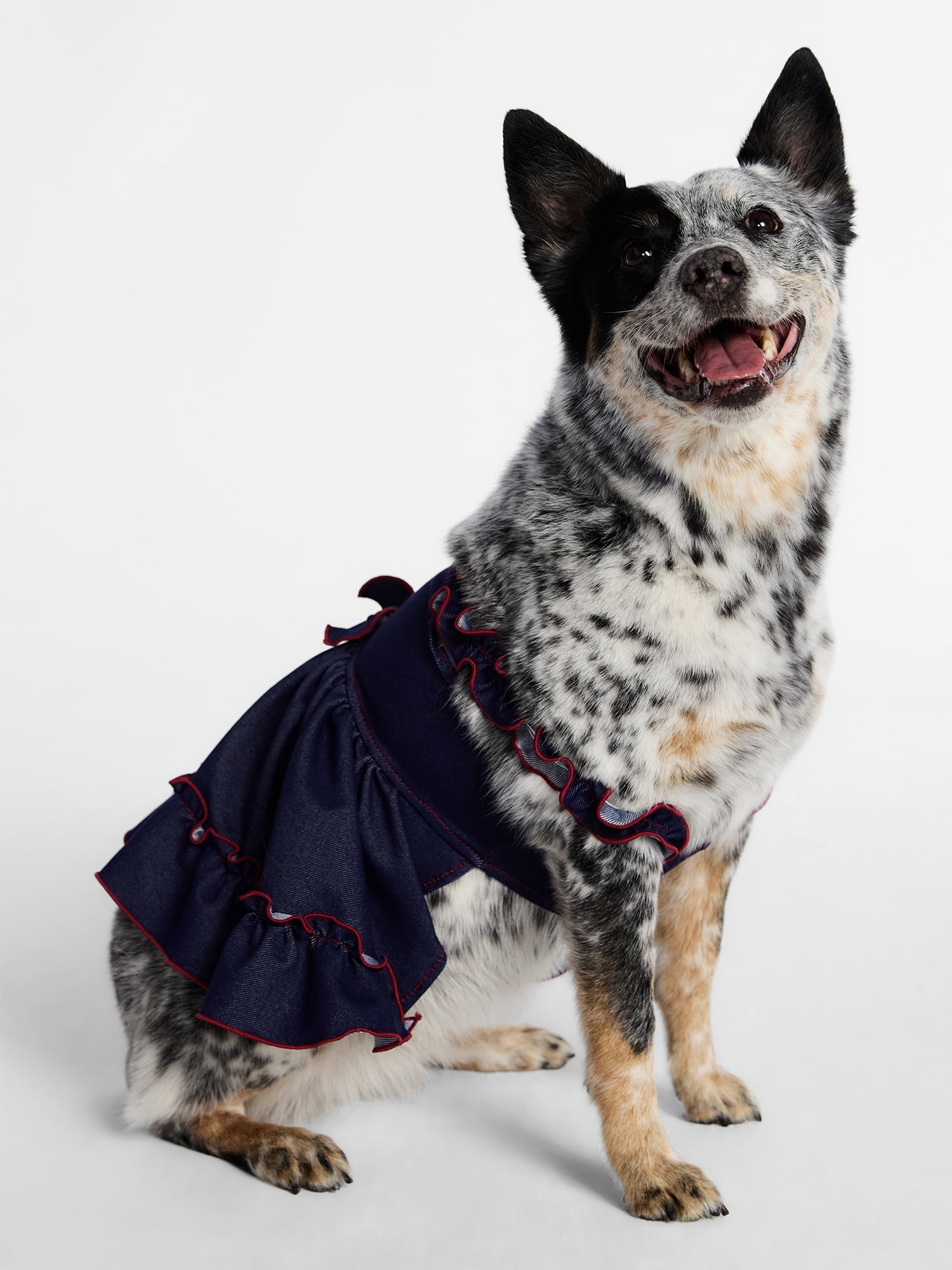 Kacey Lee Denim Strappy Pet Dress for Cats and Dogs, Blue, E