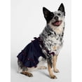 thumbnail image 1 of Kacey Lee Denim Strappy Pet Dress for Cats and Dogs, Blue, Extra Small, 1 of 5