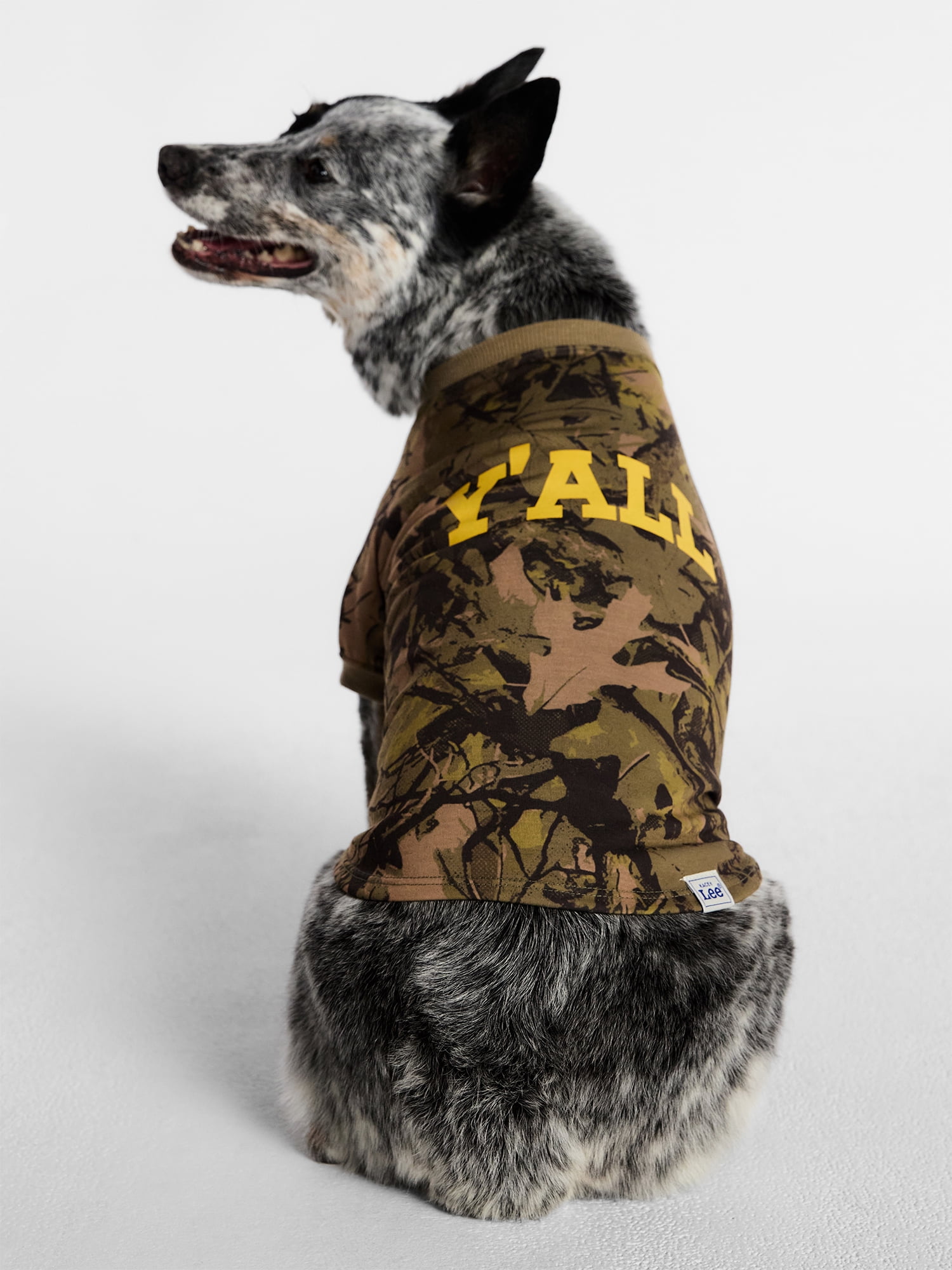 Kacey Lee Camo Print Y'all Pet Tee for Cats and Dogs, Green Camo, Small