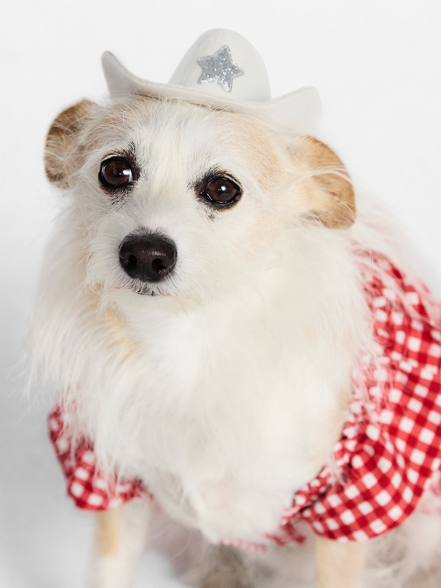 Kacey Lee Sparkle Star Dog Cowboy Hat, White, Size Medium/Large