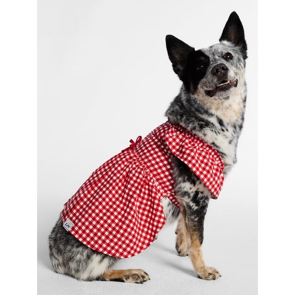 Kacey Lee Cinched Gingham Bodice Pet Dress for Cats and Dogs, Red, Small